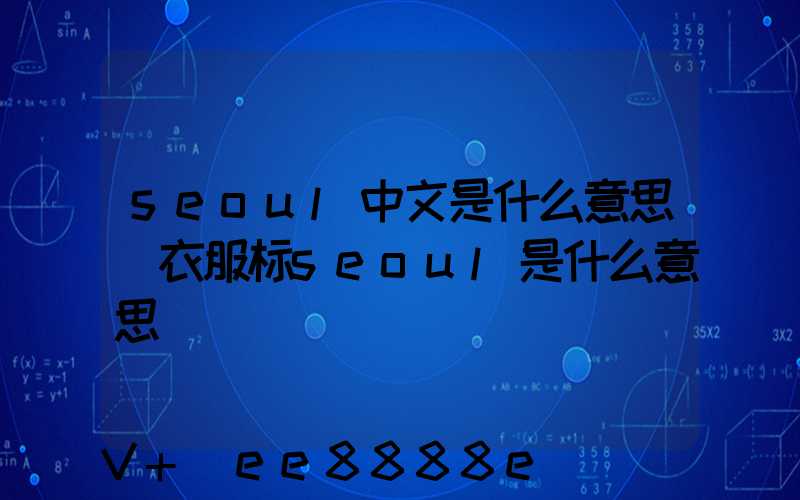 seoul中文是什么意思(衣服标seoul是什么意思)